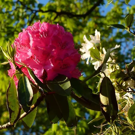 The Head At Middleton Bed & Breakfast Sedbergh