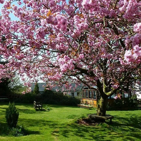Bed & Breakfast The Head At Middleton