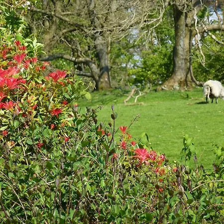The Head At Middleton 2*